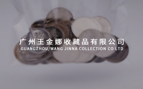 广州王金娜收藏品有限公司网站作品