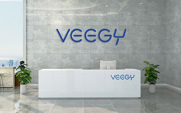 VEEGY汇洁科技网站作品